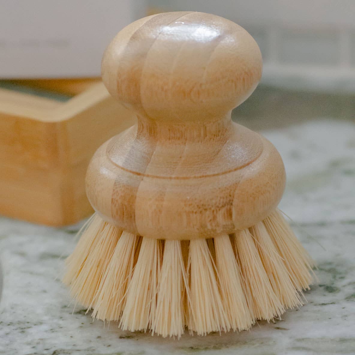 No Tox Life CASA AGAVE Dish Washing Brush